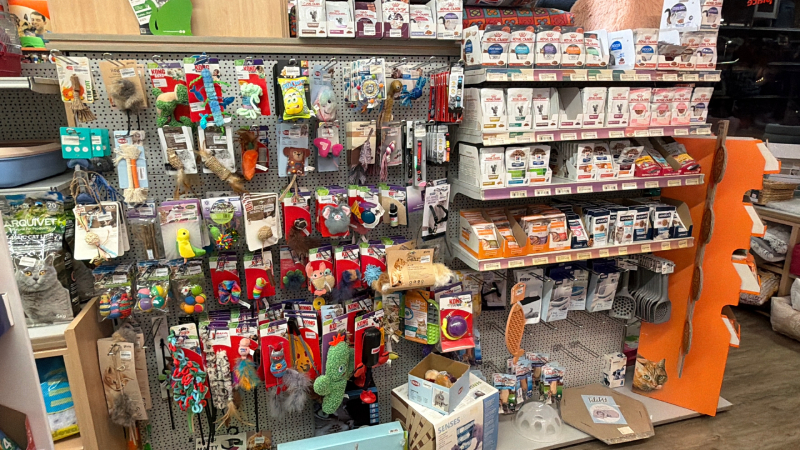 pets_place-joguines-rosegadors_ocells